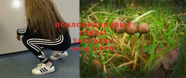 дмт Балабаново